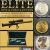 Elite Gun & Coin Auction