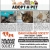View Available Pets Online