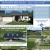 Real Estate Auctions