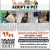 View Available Pets Online
