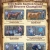 2025 Youth Auction Grand and Reserve Champions