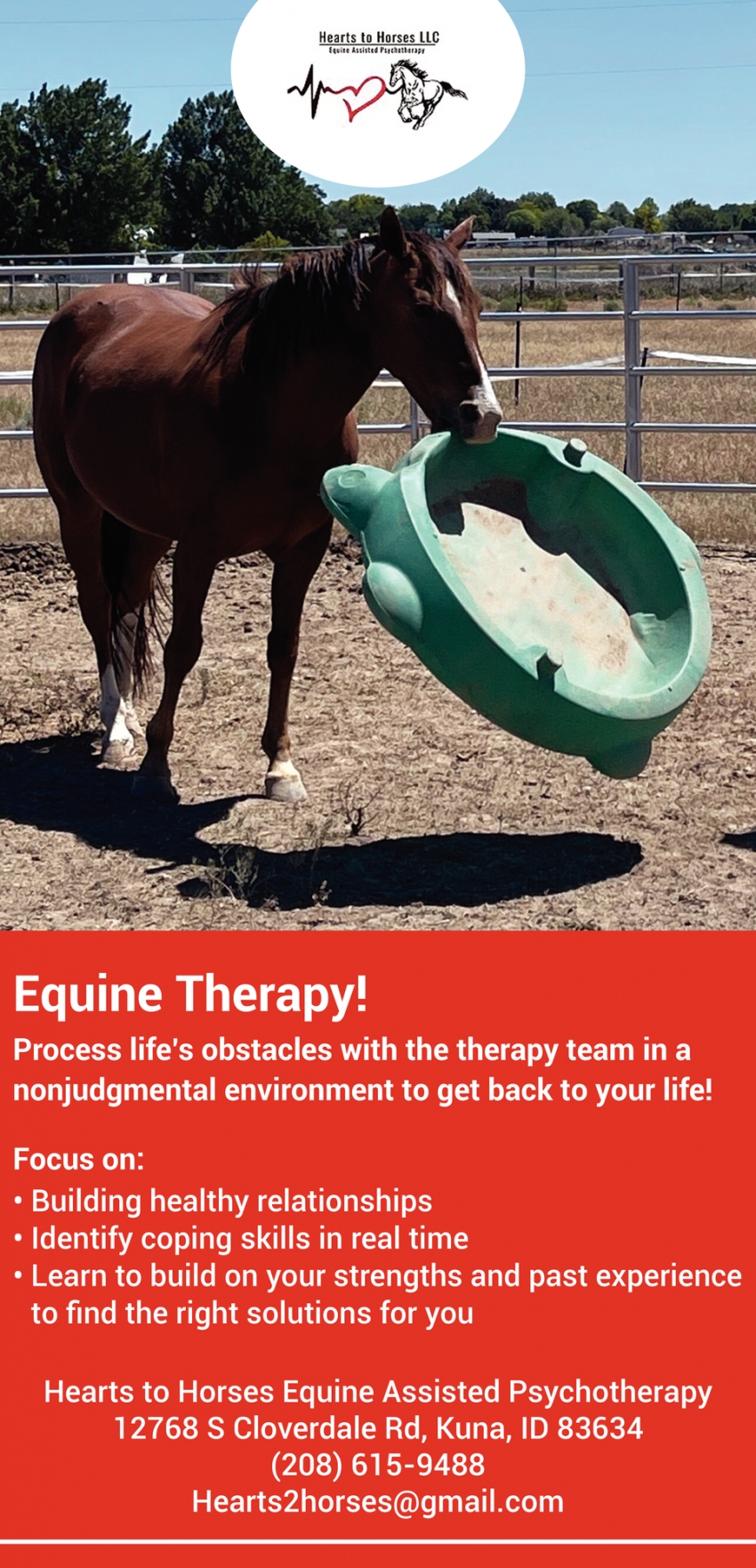 Equine Therapy!