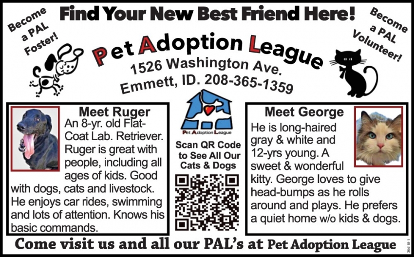 Find Your New Best Friend Here!