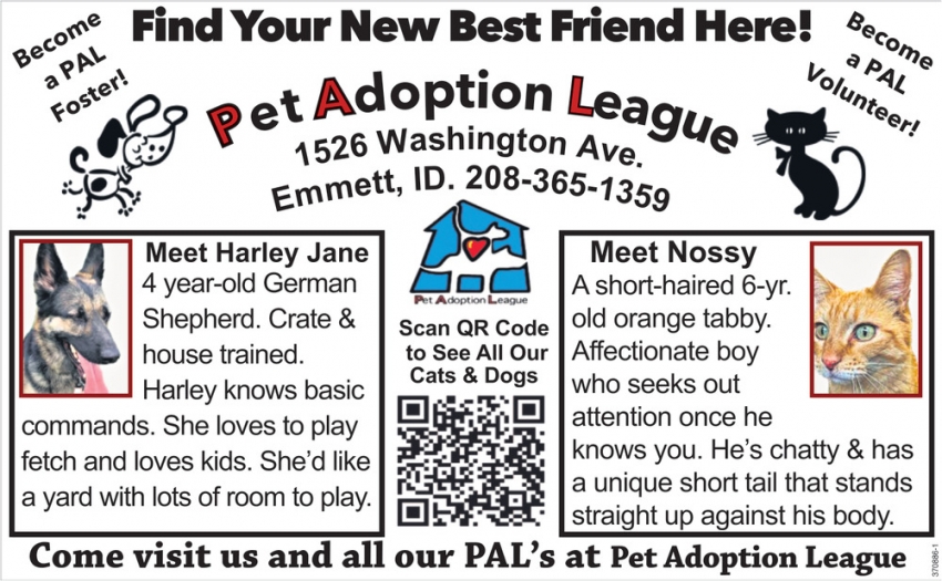 Find Your New Best Friend Here!