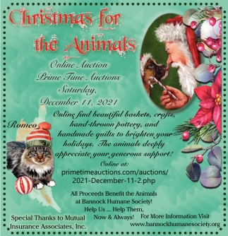 Christmas for The Animals