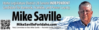 District 28 Senate Independent