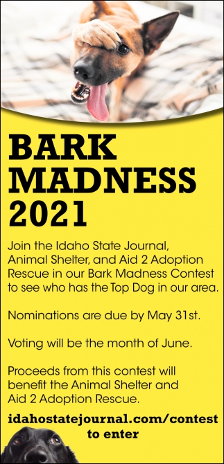 Bark Madness 2021
