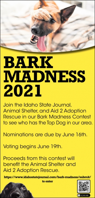Bark Madness 2021