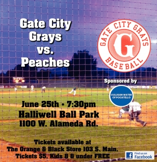 Gate City Grays vs Peaches