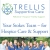 Your Stokes Team - For Hospice Care & Support