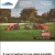 #1 Selling Compact Tractor