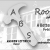 Roofing & More Service