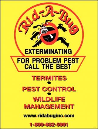 For Problem pest Call The Best