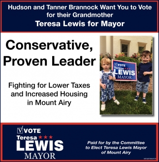 Vote Teresa Lewis Mayor