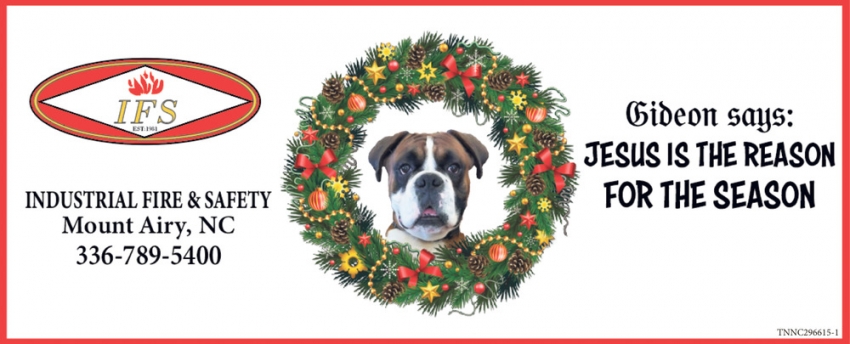 Industrial Fire & Safety