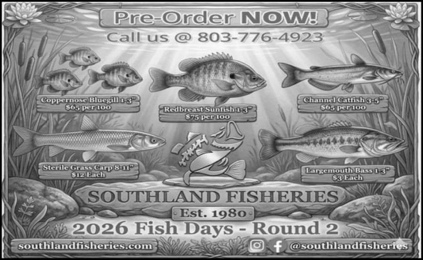 Southland Fisheries