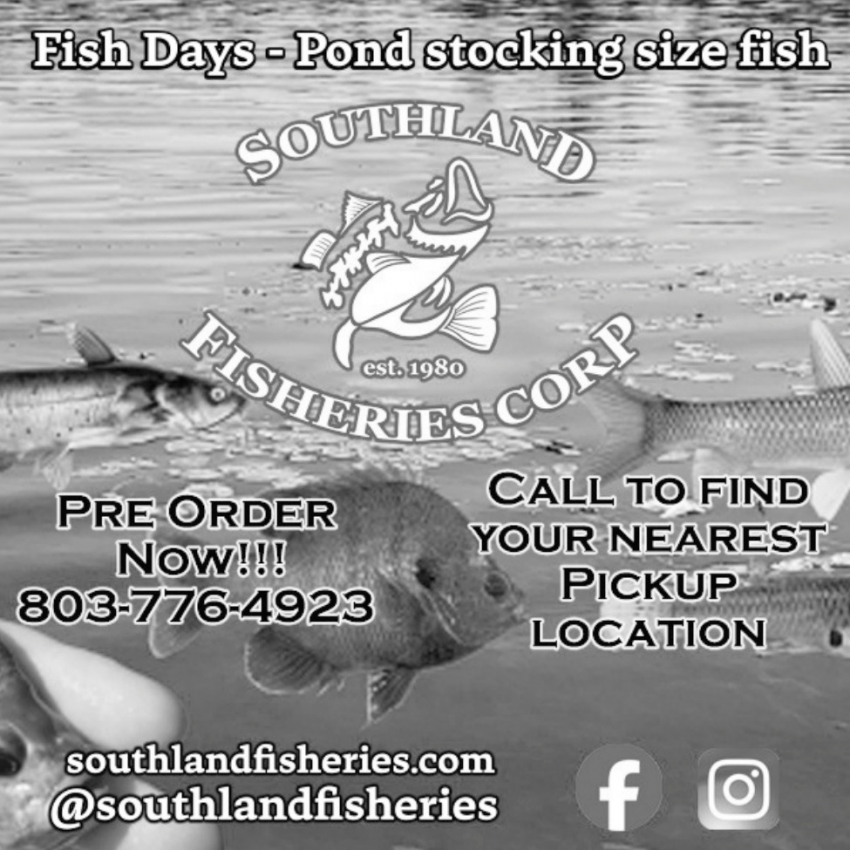 Southland Fisheries