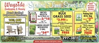 Spring Time Specials