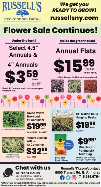 Flower Sale Continues!