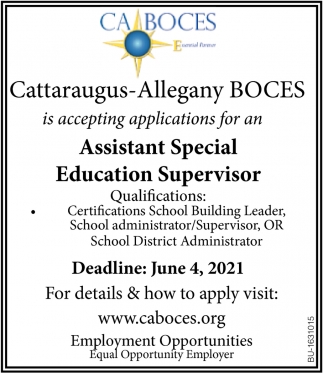 Assistant Special Education Supervisor