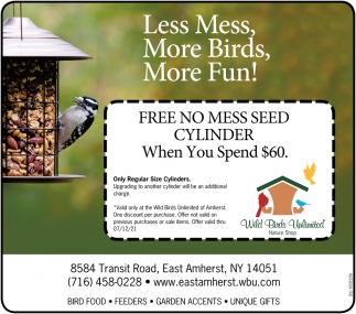 Less Mess, More Birds, More Fun!
