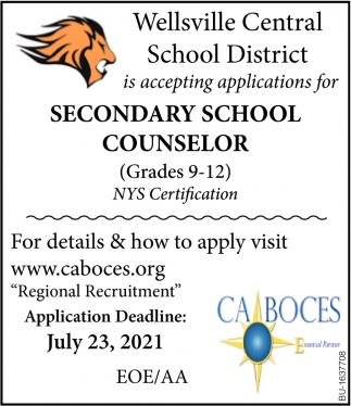 Secondary School Counselor