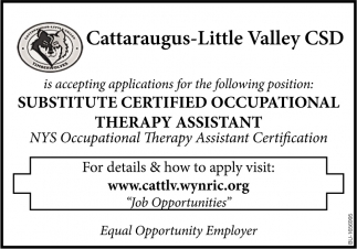 Substitute Certified Occupational Therapy Assistant