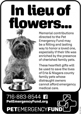 In Lieu of Flowers… Memorial Contributions