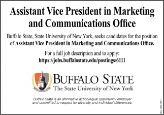 Assistant Vice President