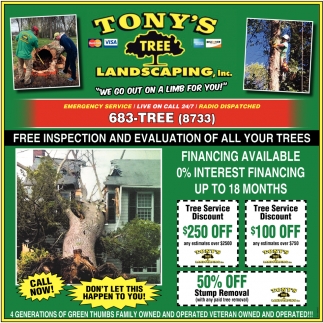 Free Inspection and Evaluation of all Your Trees