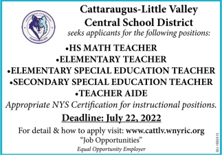 Elementary Teacher Job