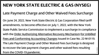 Late Payment Charge And Other Waived Fees Surcharge