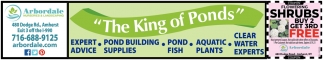 The King Of Ponds
