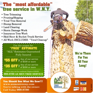 The Most Affordable Tree Service in W.N.Y.