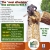 The Most Affordable Tree Service in W.N.Y.