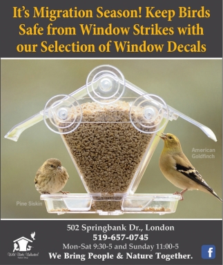 It's Migration Season!, Wild Birds Unlimited London, London, ON