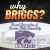 Why Briggs?