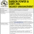 Director of Engineering Services