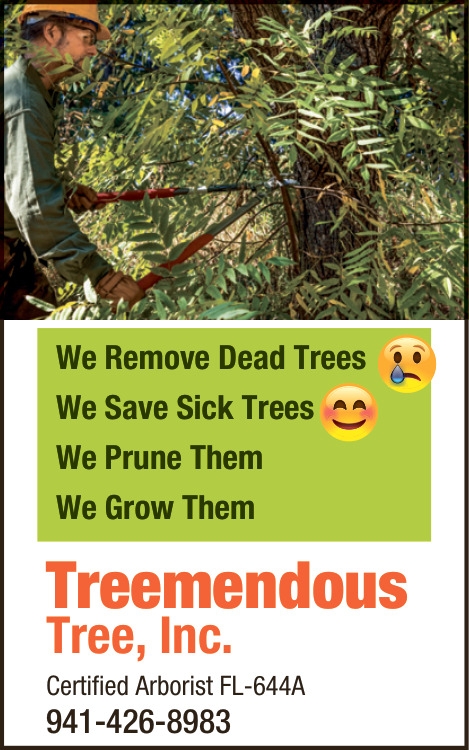 We Remove Dead Trees