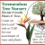 Treemendous Tree Nursery