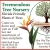 Florida Friendly Plants & Trees