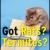Got Rats? Termites?