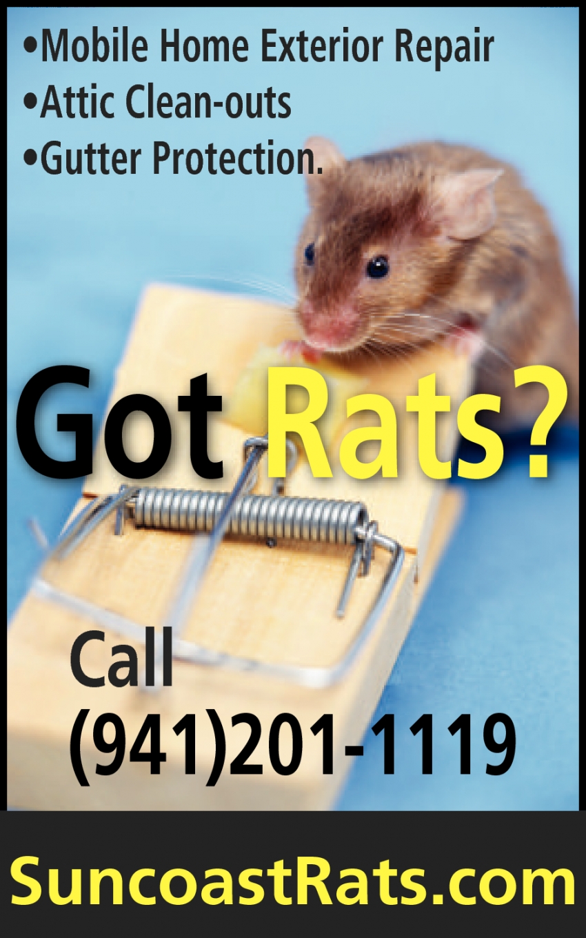 Got Rats?