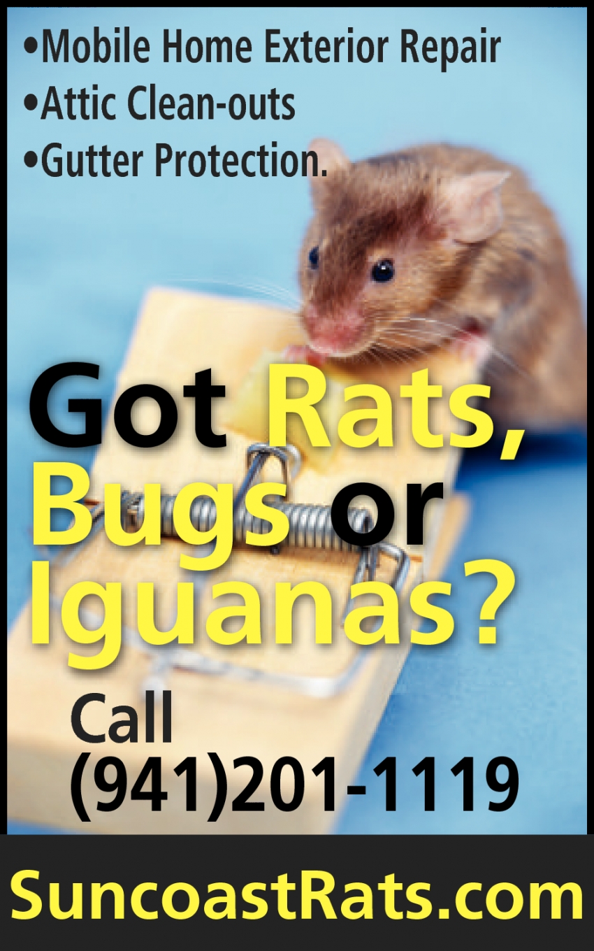 Got Rats, Bugs Or Iguanas?