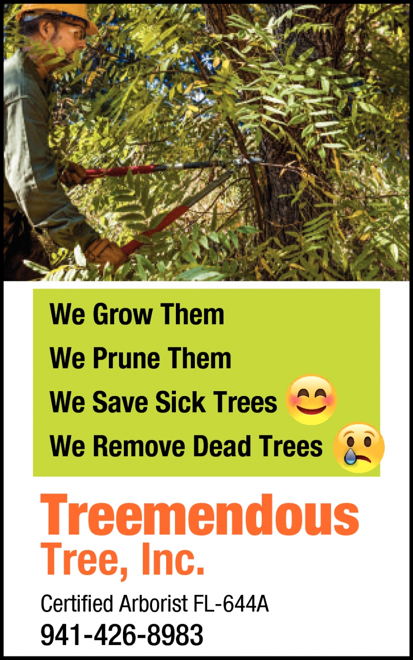 We Save Sick Trees