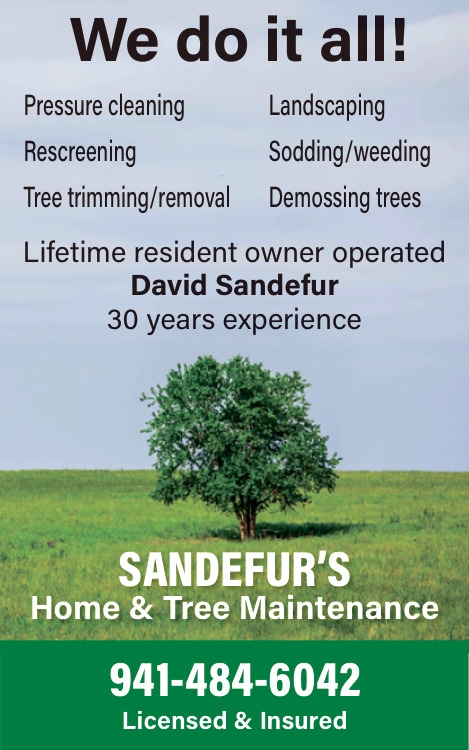 Sandefur's Home & Tree Maintenance
