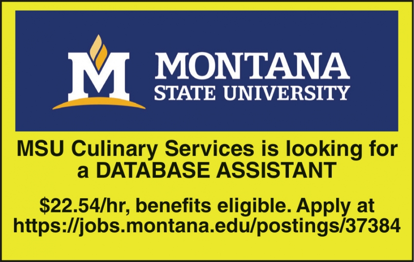Database Assistant