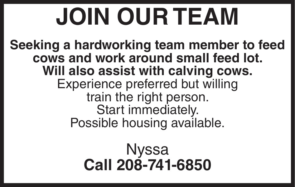 Seeking a Hardworking Team