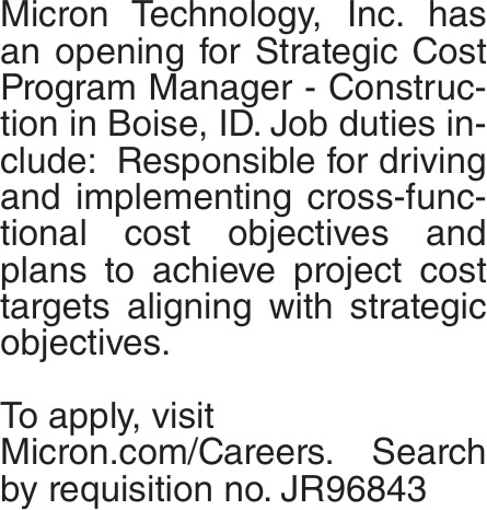 Strategic Cost  Program Manager