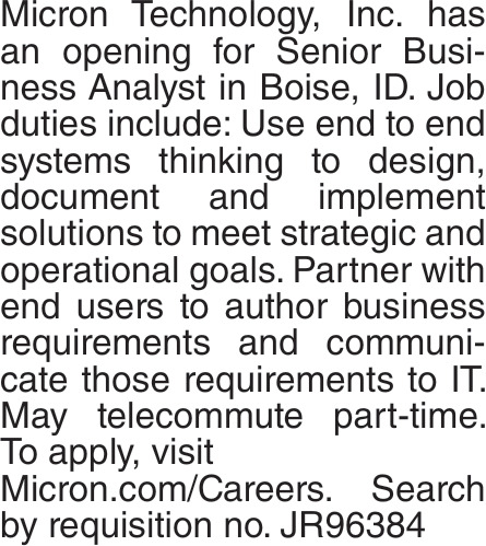Senior Business Analyst